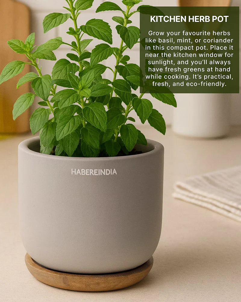 Mini Pot Vase for Tabletop Home Decor Accents