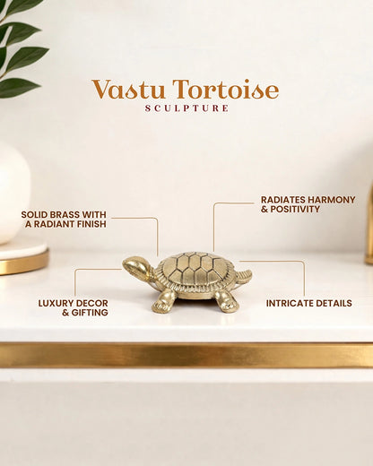Pure Brass Feng Shui Tortoise for Wealth & Prosperity