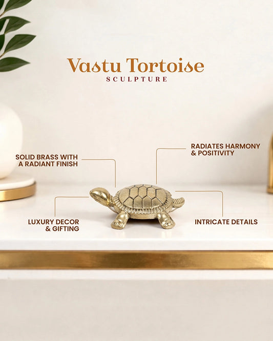 Pure Brass Feng Shui Tortoise for Wealth & Prosperity