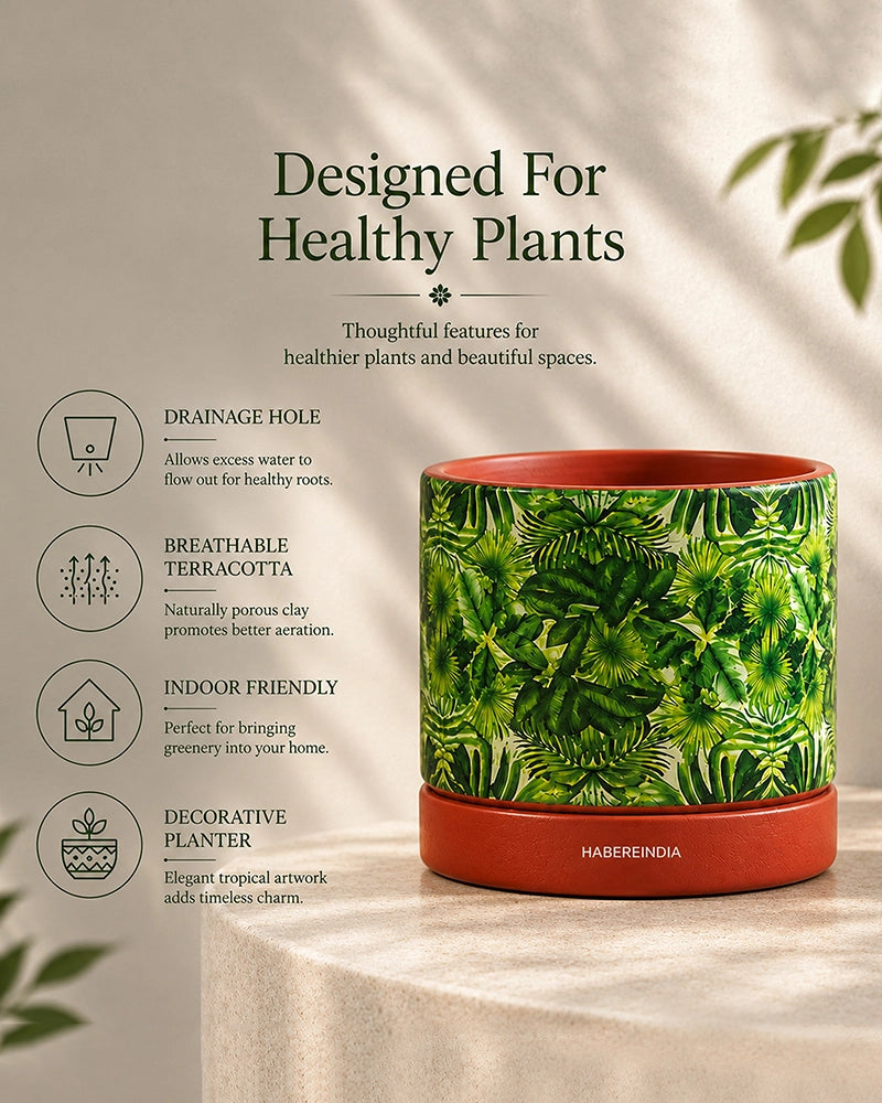 Handcrafted Flower Pot for Garden and Indoor Corners