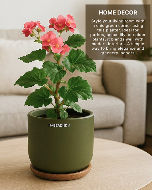 Terracotta Flower Pot For Living Room| Flower Pots for Garden, Dining Table