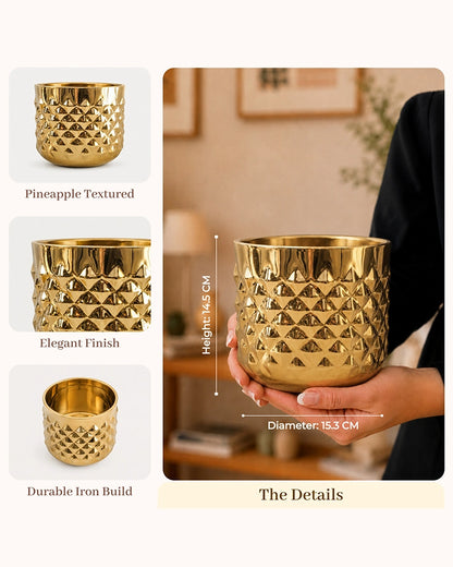 Pineapple Texture Plant Pot for Indoor Greenery & Home Décor