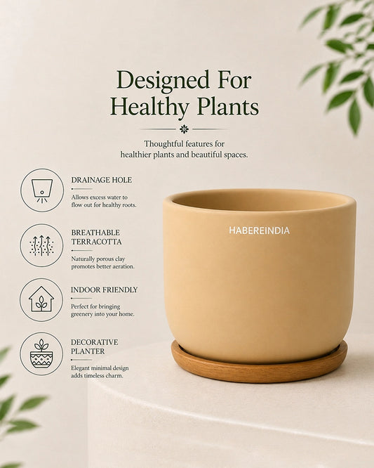 Compact Flower Pot for Living Room Shelf Decor