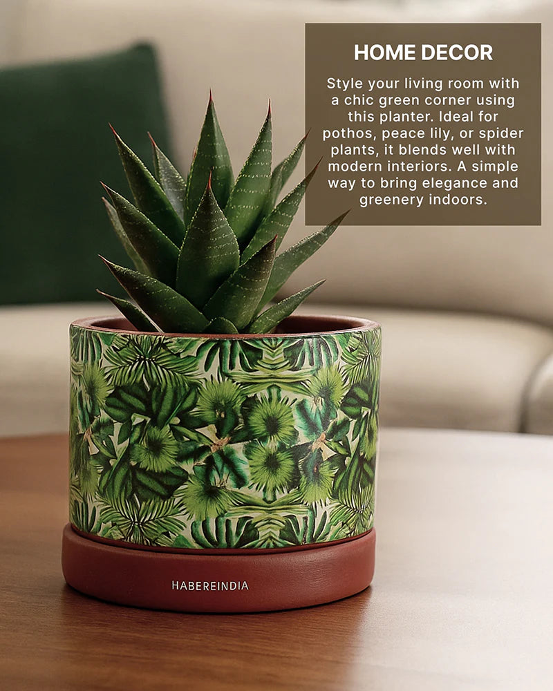 Handcrafted Flower Pot for Garden and Indoor Corners