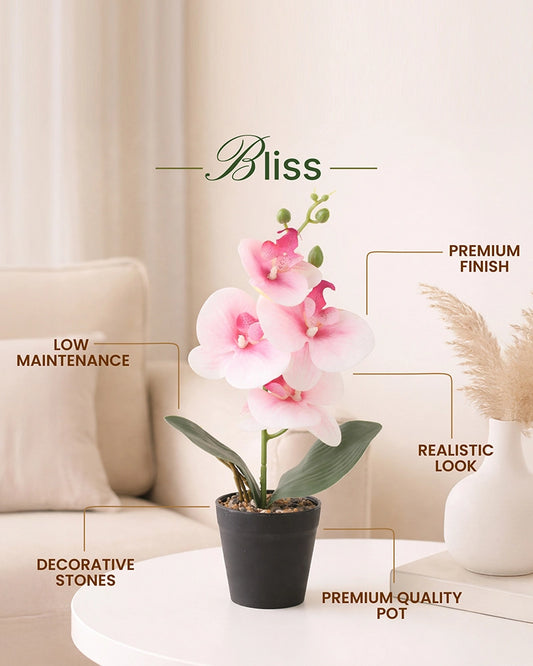 Artificial Flowers with Pot Indoor Decorative Flower Plant