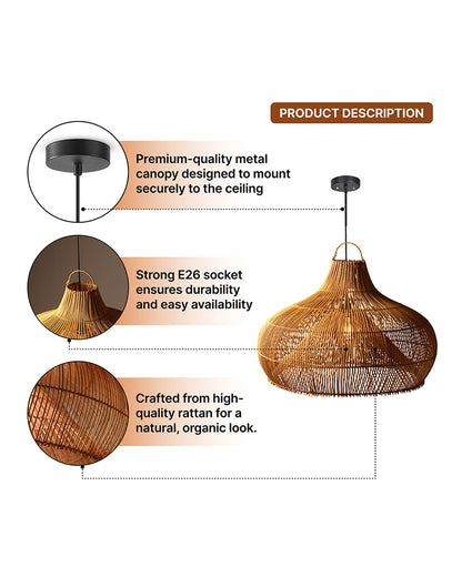 Chic Ceiling Light for Living Room and Minimalist Home Decor