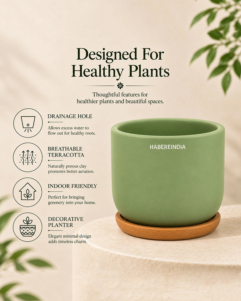 Small Terracotta Pot for Living Room Decoration