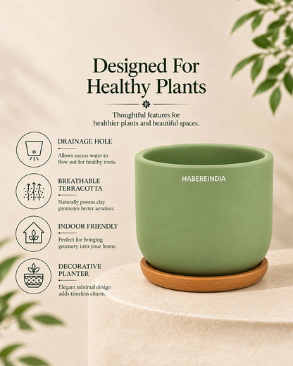 Small Terracotta Pot for Living Room Decoration