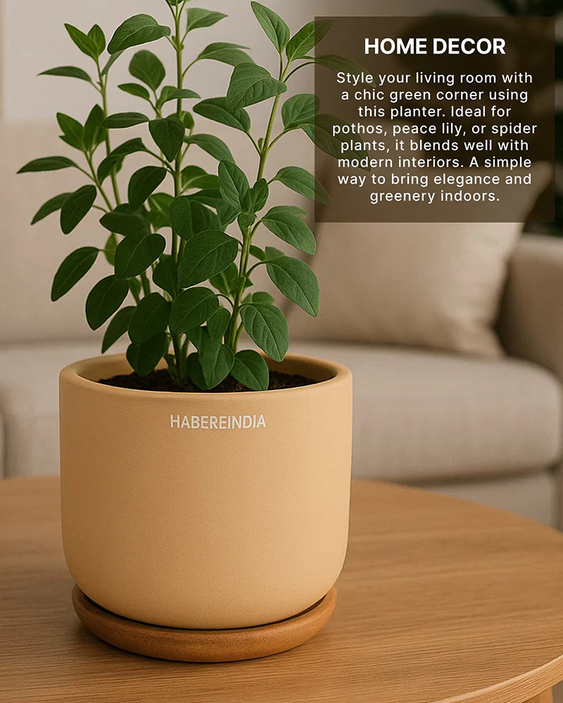 Compact Flower Pot for Living Room Shelf Decor