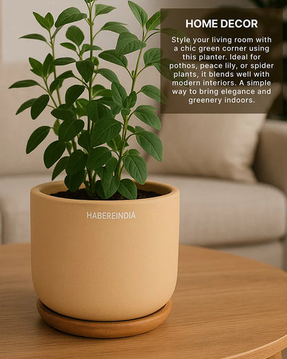 Compact Flower Pot for Living Room Shelf Decor