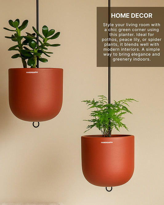 Terracotta Flower Pot for Living Room | Flower Pots for Garden, Dining Table & Home Decor