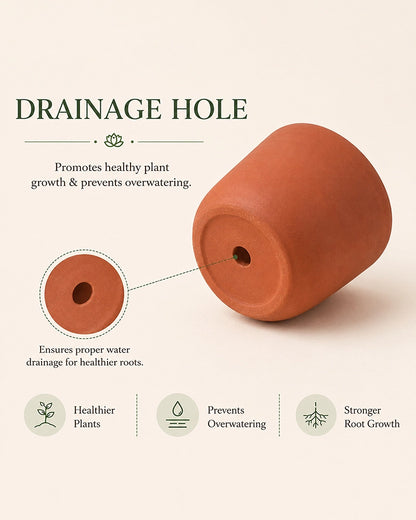 Terracotta Plant Pot with Tray for Gardening, Home Décor, Set of 3