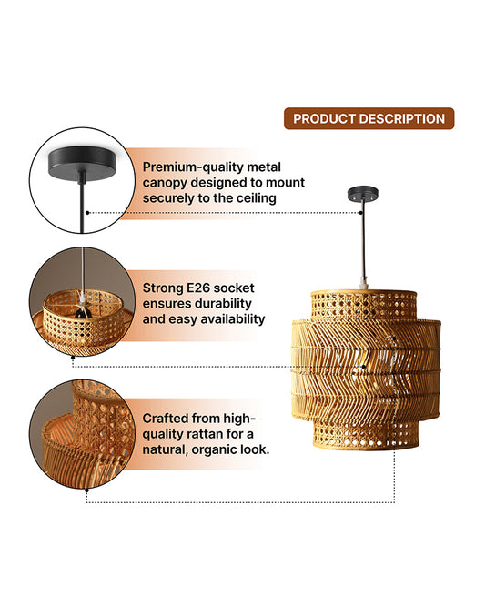 Decorative Ceiling Lamp for Hall and Contemporary Home Decor