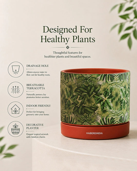 Handcrafted Flower Pot for Garden and Indoor Corners