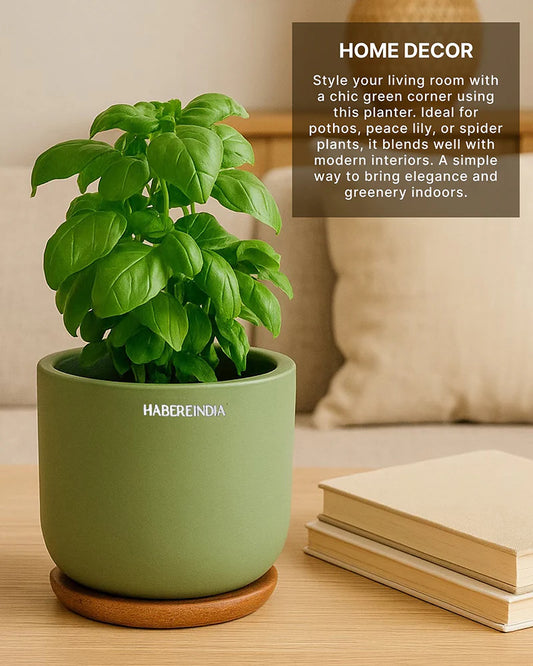 Small Terracotta Pot for Living Room Decoration