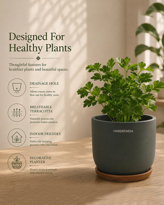 Small Decorative Pot for Home Decoration Items Display