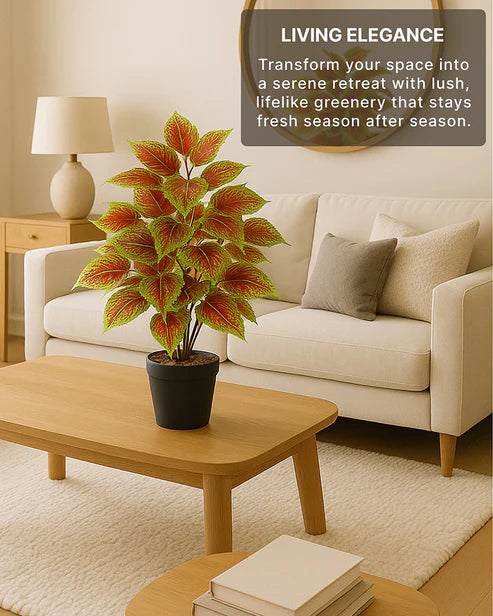 Artificial Plant with Pot for Home Decor and Living Room Decoration