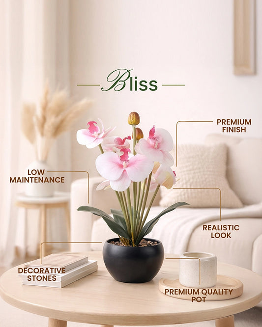 Fake Indoor Flower Plant for Modern Home Decoration