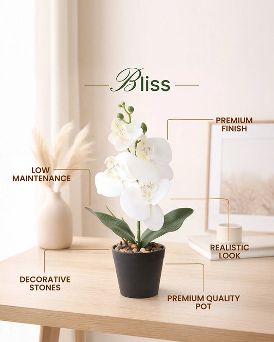 Artificial Decorative Flower Arrangement for Home and Office