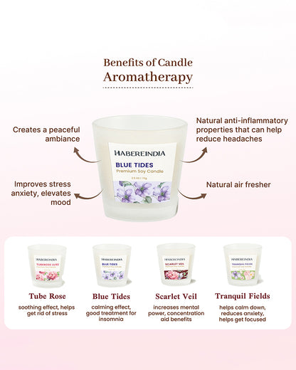 Set of 4 Scented Aroma Candles in Glass | Decorative Fragrance Candle Set | 45gm, 8hr Burn Each