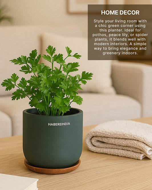 Pot for Plants | Terracotta Flower Pot for Living Room Decoration