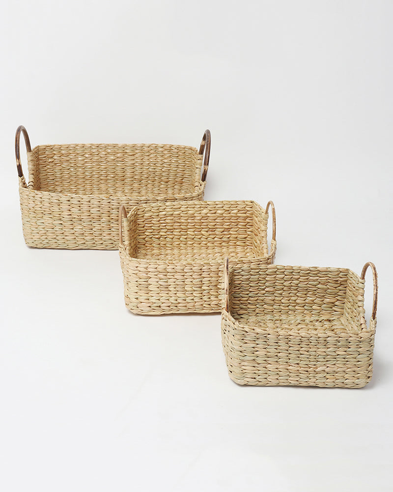 Cane Handle Fruit Hamper Basket