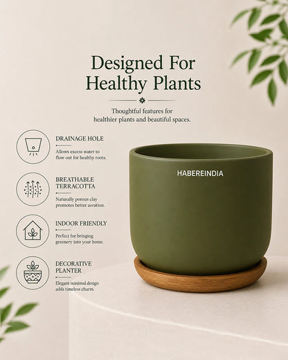Flower Pot for Garden Use and Indoor Room Styling