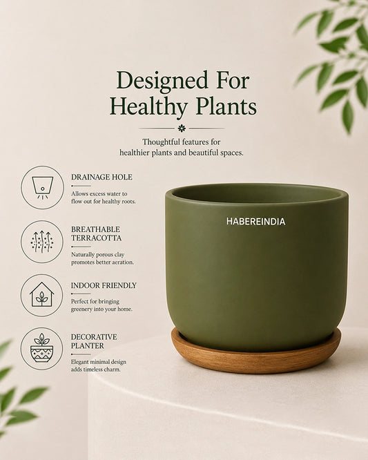 Flower Pot for Garden Use and Indoor Room Styling