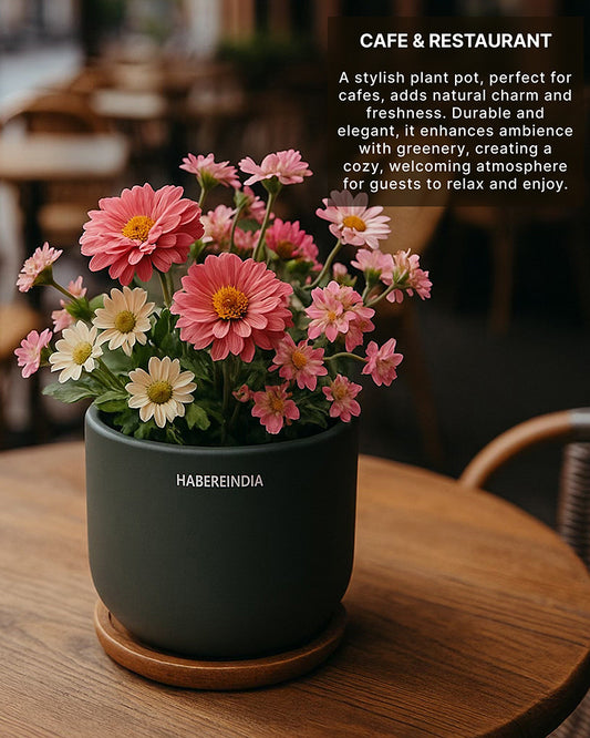 Pot for Plants | Terracotta Flower Pot for Living Room Decoration