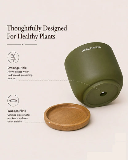 Flower Pot for Garden Use and Indoor Room Styling
