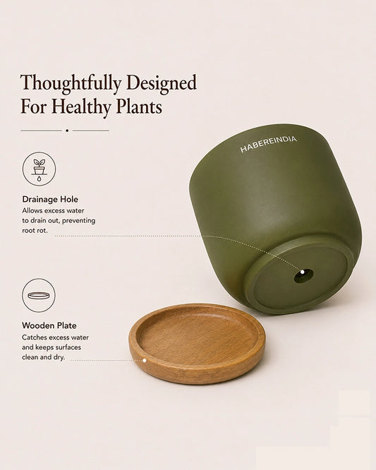 Flower Pot for Garden Use and Indoor Room Styling