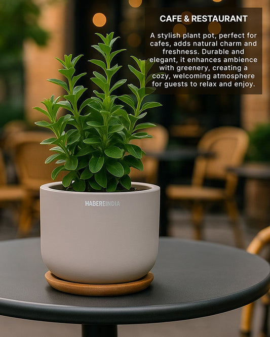 Terracotta Flower Pot | Flower Pots for Garden, Dining Table & Home Decor
