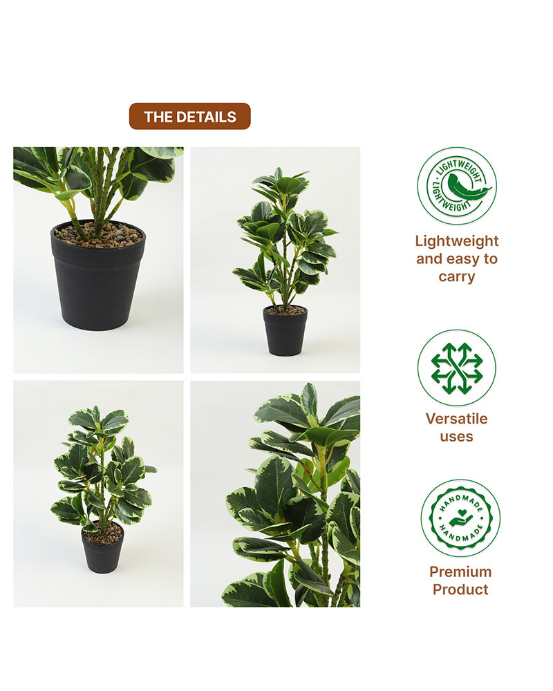 Realistic Artificial Leaves Plant with Pot for Modern Home and Room Decor