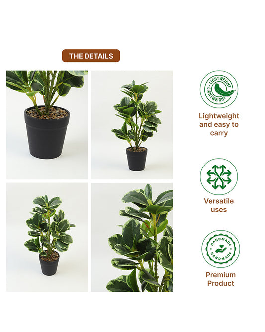 Realistic Artificial Leaves Plant with Pot for Modern Home and Room Decor