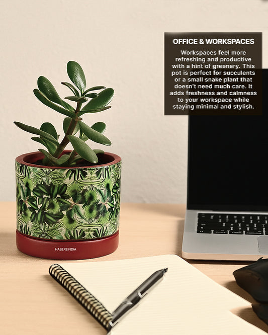 Pot for Plants | Flower Pots for Garden, Dining Table & Home Decor