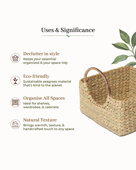 Handcrafted Cane Handle Seagrass Fruit Hamper Basket for Home Storage and Gifting