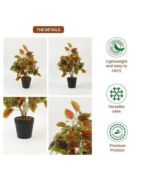 Artificial Plant with Pot for Home Decor and Living Room Decoration