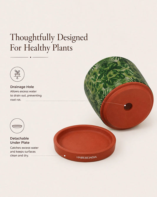 Handcrafted Flower Pot for Garden and Indoor Corners