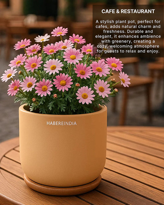 Compact Flower Pot for Living Room Shelf Decor