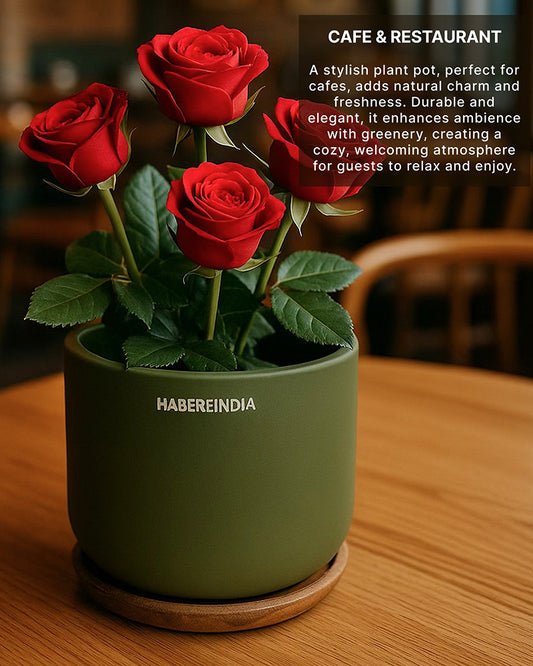 Terracotta Flower Pot For Living Room| Flower Pots for Garden, Dining Table