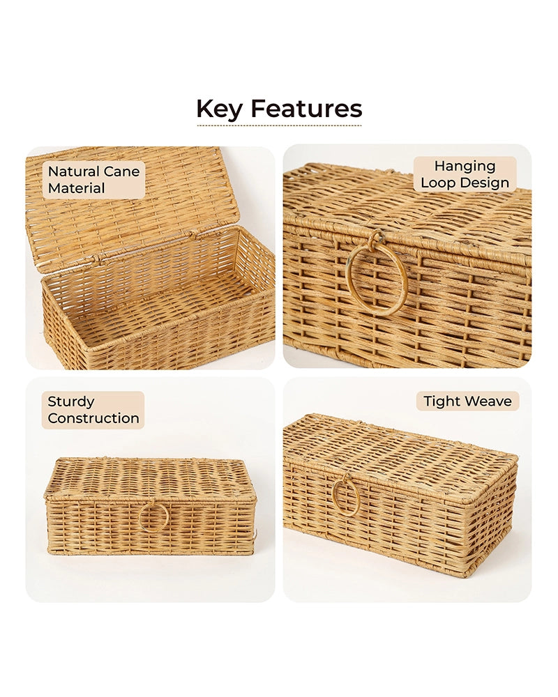 Cane Storage Box with Lid for Wardrobe & Bathroom Storage