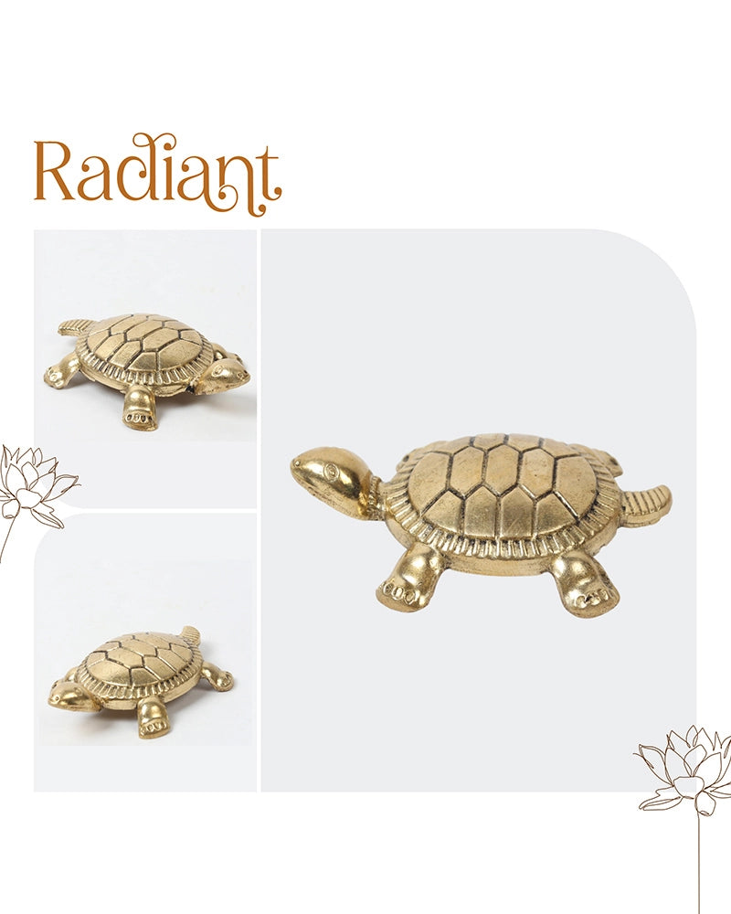 Pure Brass Feng Shui Tortoise for Wealth & Prosperity
