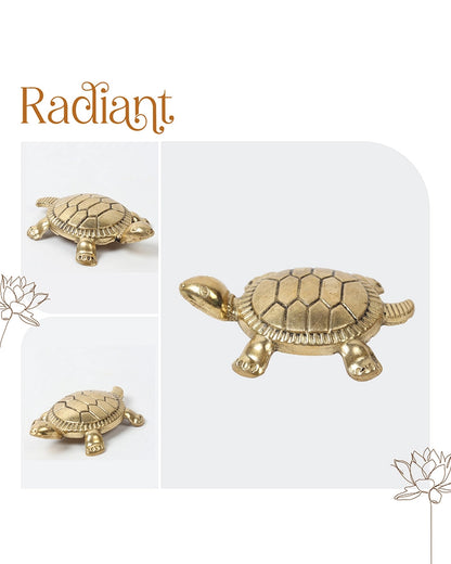Pure Brass Feng Shui Tortoise for Wealth & Prosperity