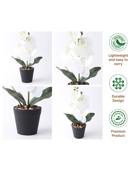 Artificial Decorative Flower Arrangement for Home and Office