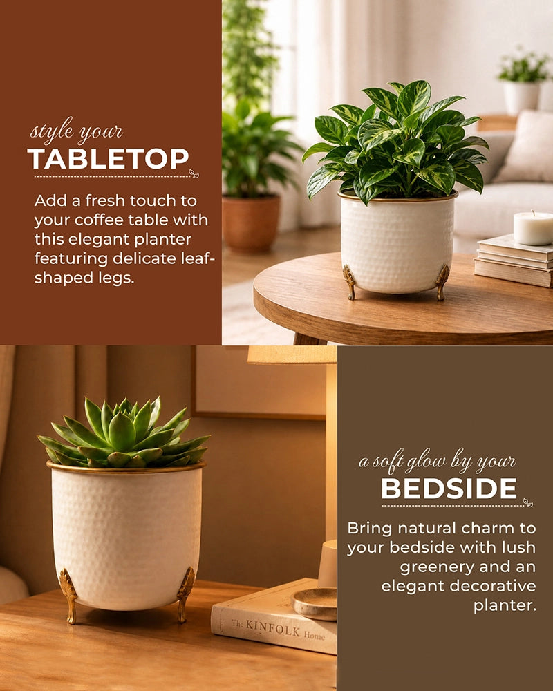 Handcrafted Premium Metal Planter for Home Décor & Living Room, Set of 2