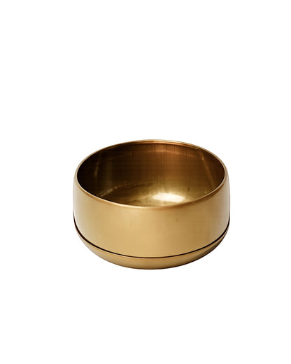 Premium Metal Round Plant Pot with Detachable Plate