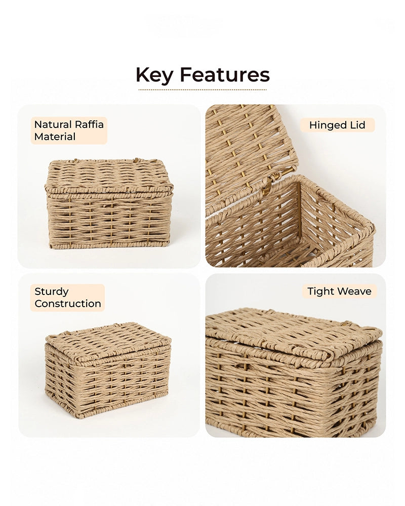 Handwoven Storage Box with Lid for Wardrobe & Bathroom Storage