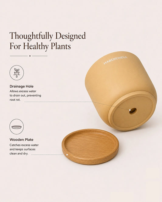 Compact Flower Pot for Living Room Shelf Decor