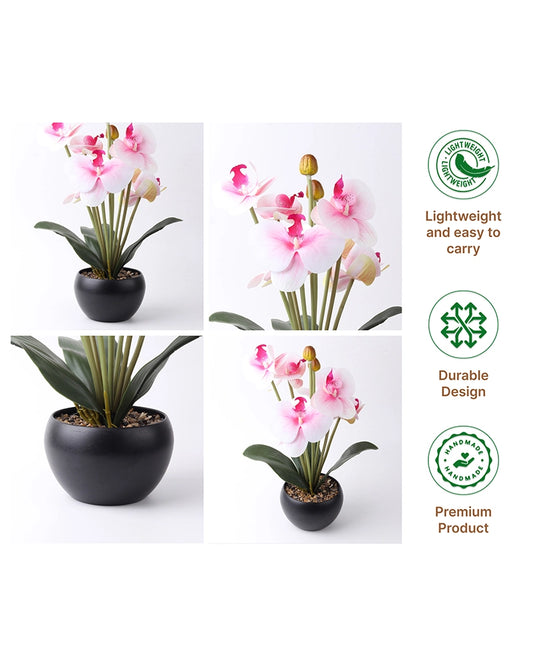 Fake Indoor Flower Plant for Modern Home Decoration