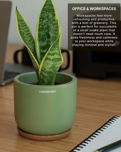 Small Terracotta Pot for Living Room Decoration